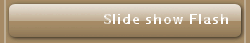 Slide show Flash